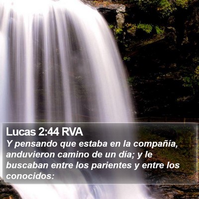 Lucas 2:44 RVA Bible Verse Image