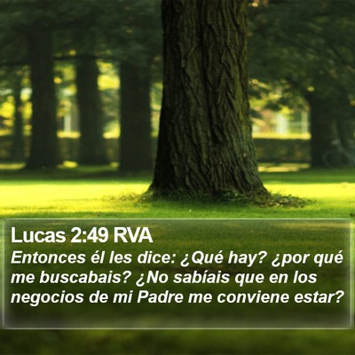 Lucas 2:49 RVA Bible Verse Image