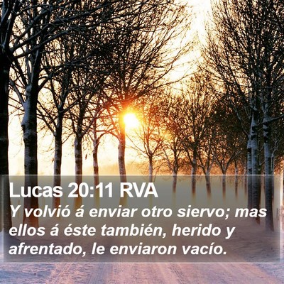 Lucas 20:11 RVA Bible Verse Image