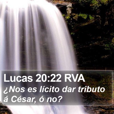 Lucas 20:22 RVA Bible Verse Image