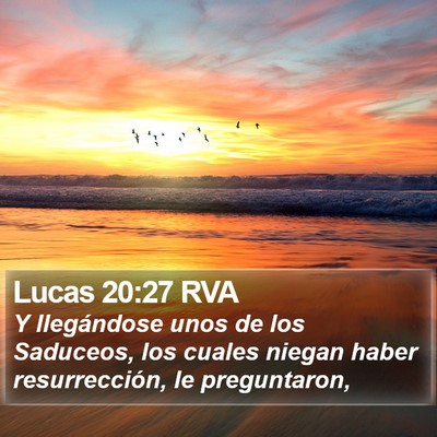 Lucas 20:27 RVA Bible Verse Image