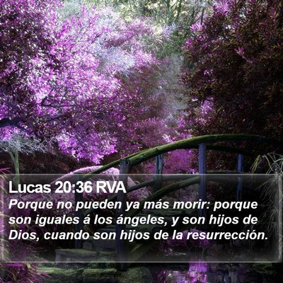 Lucas 20:36 RVA Bible Verse Image