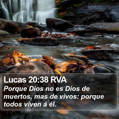 Lucas 20:38 RVA Bible Verse Image