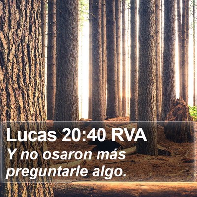 Lucas 20:40 RVA Bible Verse Image