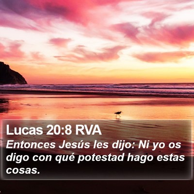 Lucas 20:8 RVA Bible Verse Image