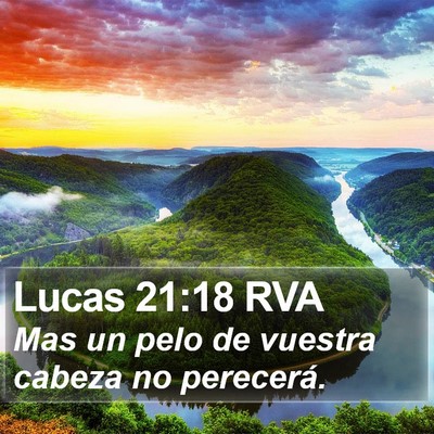 Lucas 21:18 RVA Bible Verse Image