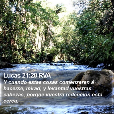 Lucas 21:28 RVA Bible Verse Image