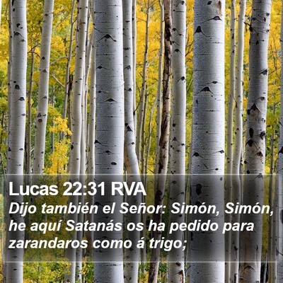 Lucas 22:31 RVA Bible Verse Image