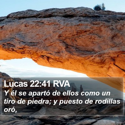 Lucas 22:41 RVA Bible Verse Image