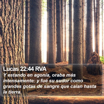 Lucas 22:44 RVA Bible Verse Image