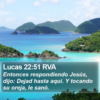Lucas 22:51 RVA Bible Verse Image