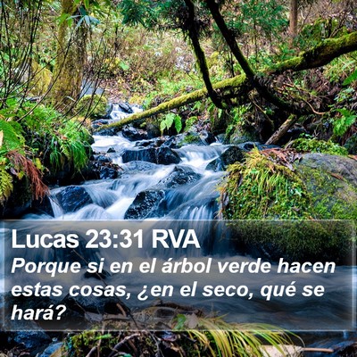 Lucas 23:31 RVA Bible Verse Image