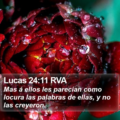 Lucas 24:11 RVA Bible Verse Image