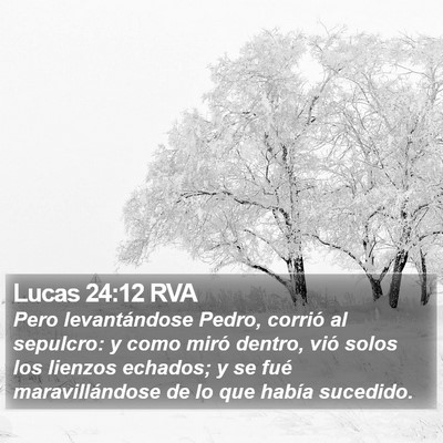 Lucas 24:12 RVA Bible Verse Image