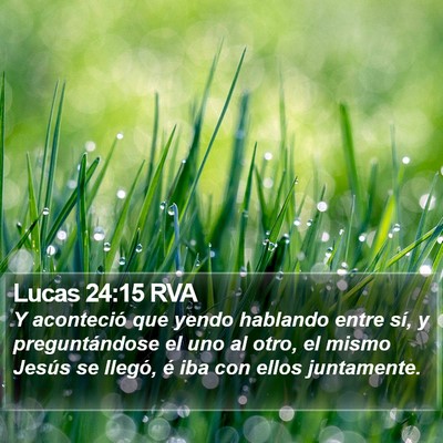 Lucas 24:15 RVA Bible Verse Image