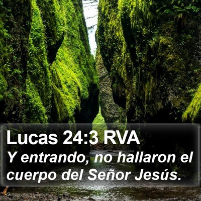 Lucas 24:3 RVA Bible Verse Image