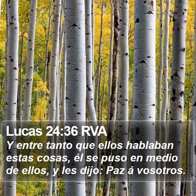 Lucas 24:36 RVA Bible Verse Image