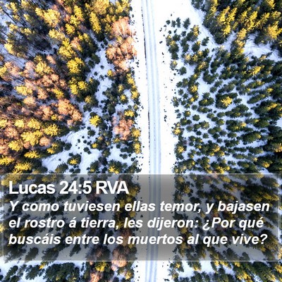Lucas 24:5 RVA Bible Verse Image