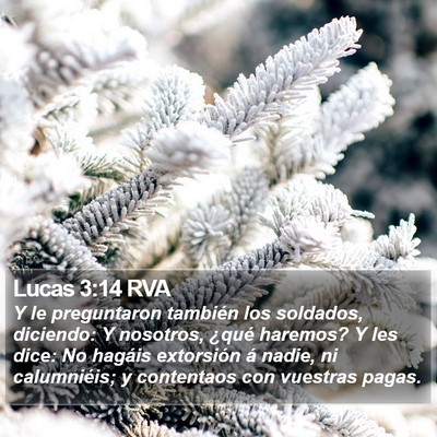 Lucas 3:14 RVA Bible Verse Image