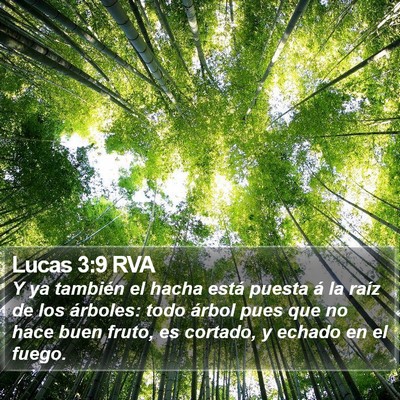 Lucas 3:9 RVA Bible Verse Image
