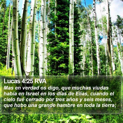 Lucas 4:25 RVA Bible Verse Image