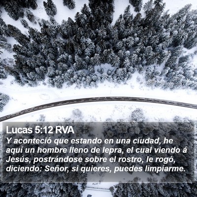 Lucas 5:12 RVA Bible Verse Image