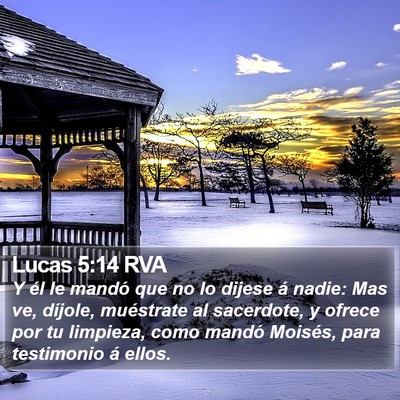 Lucas 5:14 RVA Bible Verse Image
