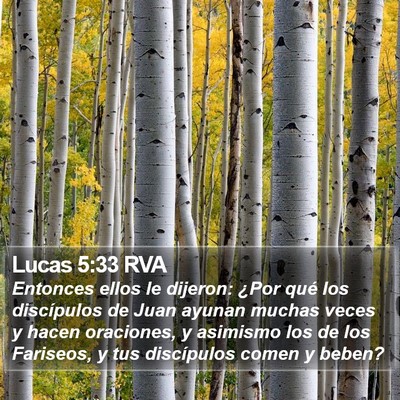 Lucas 5:33 RVA Bible Verse Image