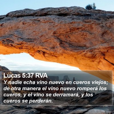 Lucas 5:37 RVA Bible Verse Image