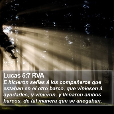 Lucas 5:7 RVA Bible Verse Image