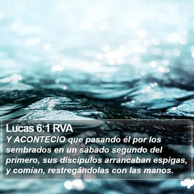 Lucas 6:1 RVA Bible Verse Image