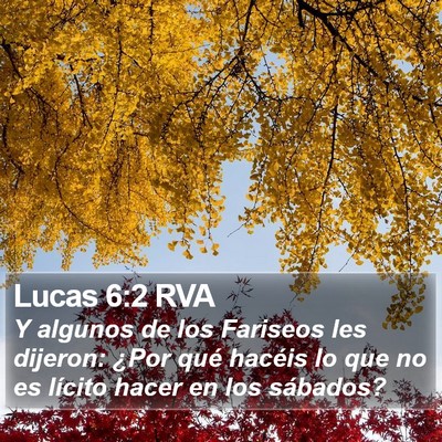 Lucas 6:2 RVA Bible Verse Image