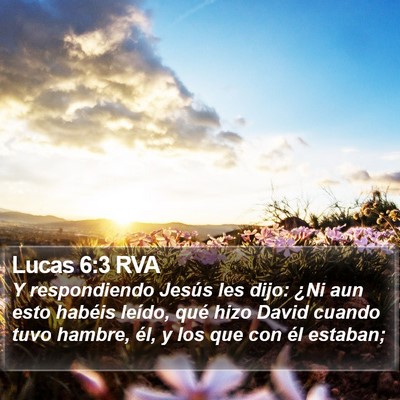 Lucas 6:3 RVA Bible Verse Image