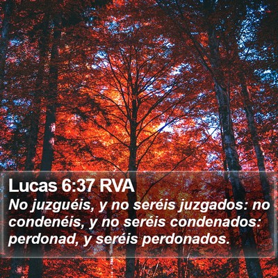 Lucas 6:37 RVA Bible Verse Image