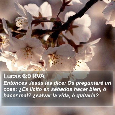 Lucas 6:9 RVA Bible Verse Image