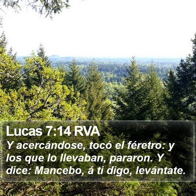 Lucas 7:14 RVA Bible Verse Image