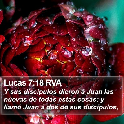 Lucas 7:18 RVA Bible Verse Image