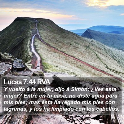 Lucas 7:44 RVA Bible Verse Image