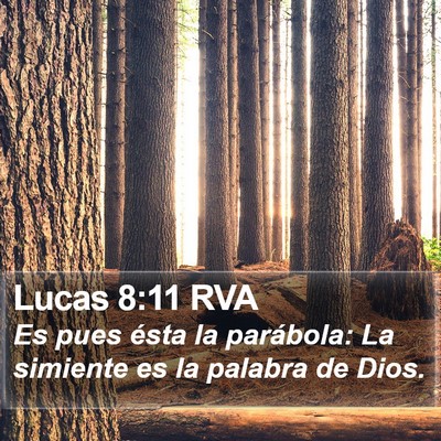 Lucas 8:11 RVA Bible Verse Image