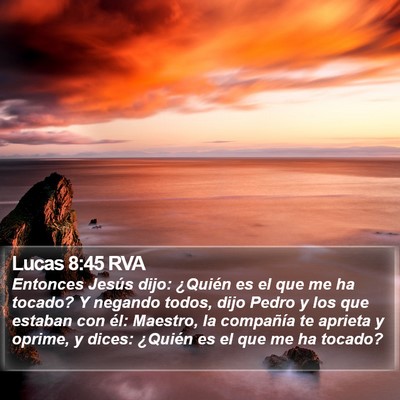Lucas 8:45 RVA Bible Verse Image