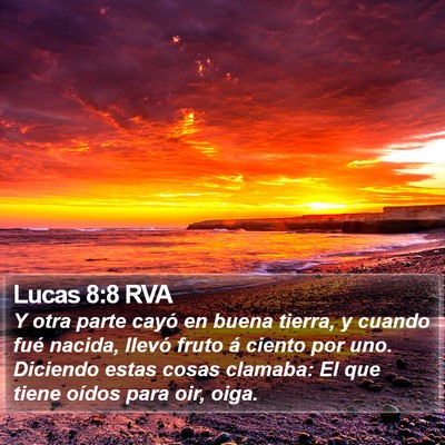 Lucas 8:8 RVA Bible Verse Image