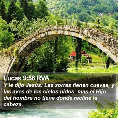Lucas 9:58 RVA Bible Verse Image
