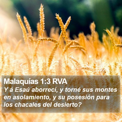 Malaquías 1:3 RVA Bible Verse Image