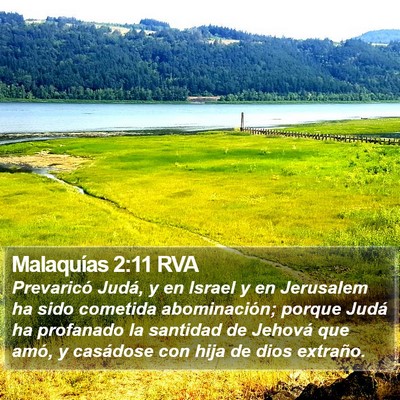 Malaquías 2:11 RVA Bible Verse Image