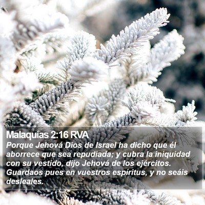 Malaquías 2:16 RVA Bible Verse Image