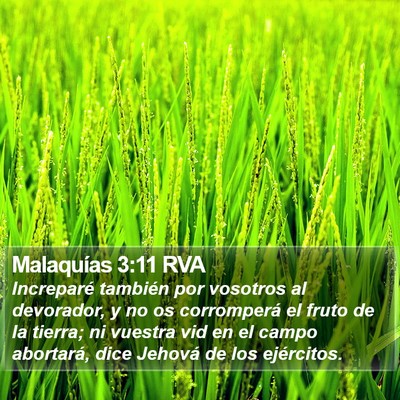 Malaquías 3:11 RVA Bible Verse Image