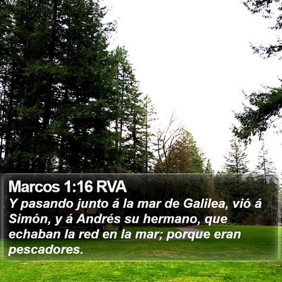 Marcos 1:16 RVA Bible Verse Image