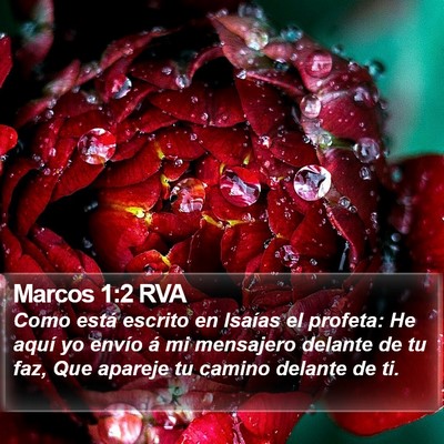 Marcos 1:2 RVA Bible Verse Image