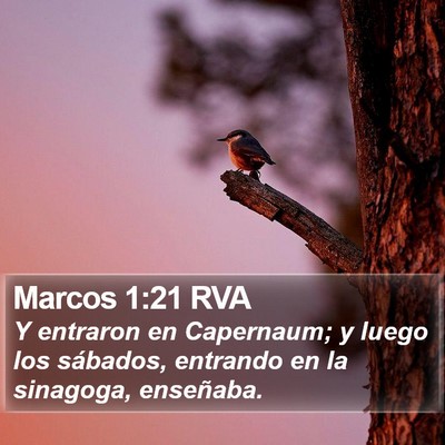 Marcos 1:21 RVA Bible Verse Image