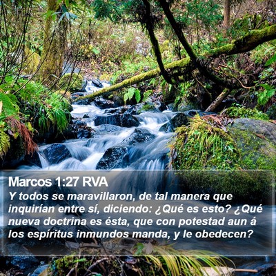 Marcos 1:27 RVA Bible Verse Image